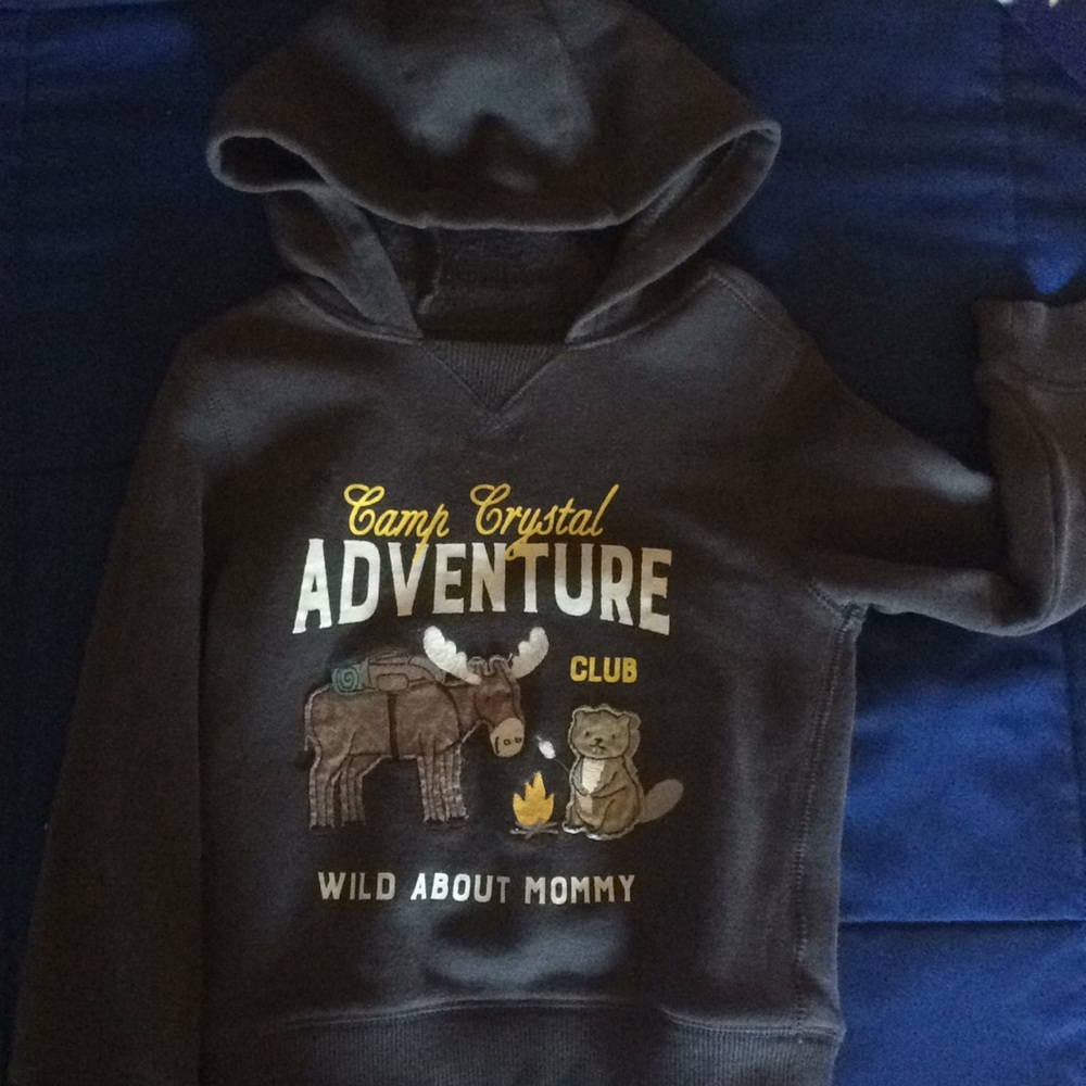 Carters gray hoodie . Size 3t